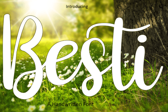 Besti Font: A Playful, Professional Script for Small Business Branding