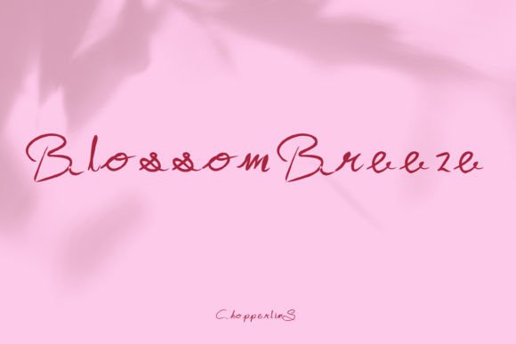 Blossombreeze Font: Elegant Script for Small Business Branding