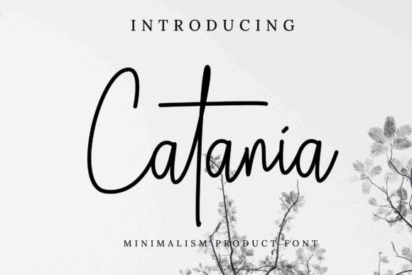 Catania: A Warm, Flowing Script Font for Thoughtful Branding
