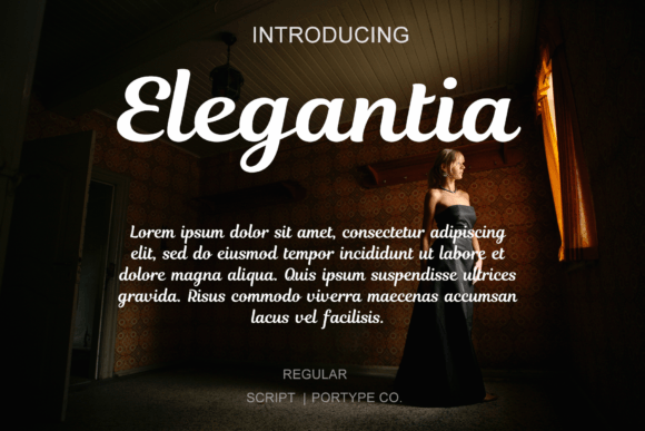 Elegantia Font: Refined Script for Handmade Labels & Printables