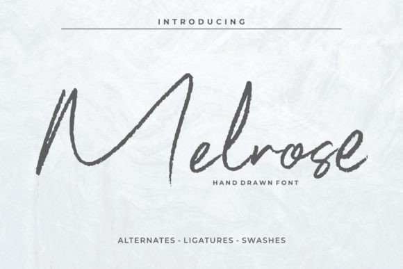 Melrose: A Statement Script Font for Campaign Headlines